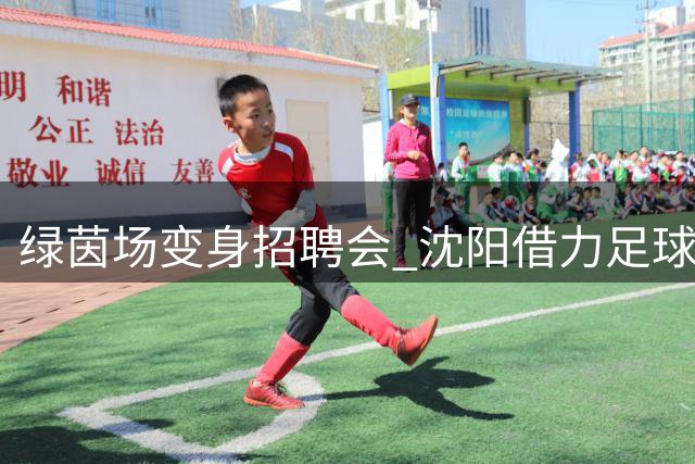 绿茵场变身招聘会 沈阳借力足球赛事创新引才模式